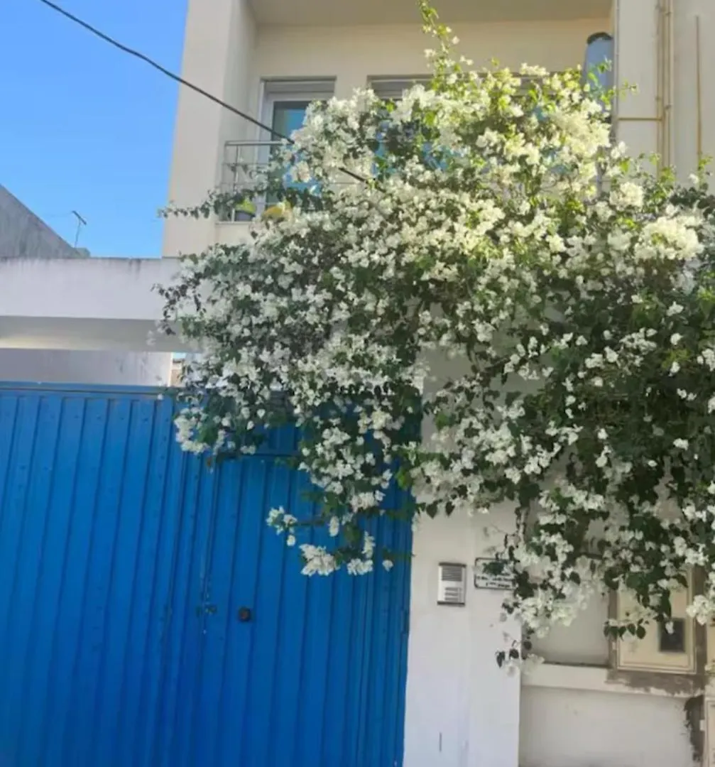 Lägenhet Charmant Appartement A Tunis !